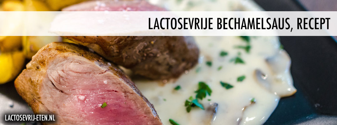 Lactosevrije bechamelsaus recept groenten en vlees